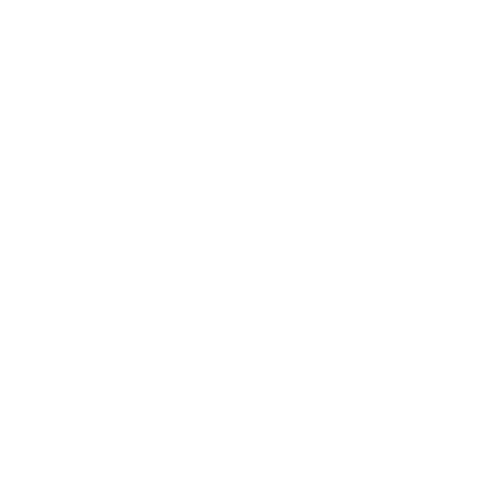 Rexing Sim Racing